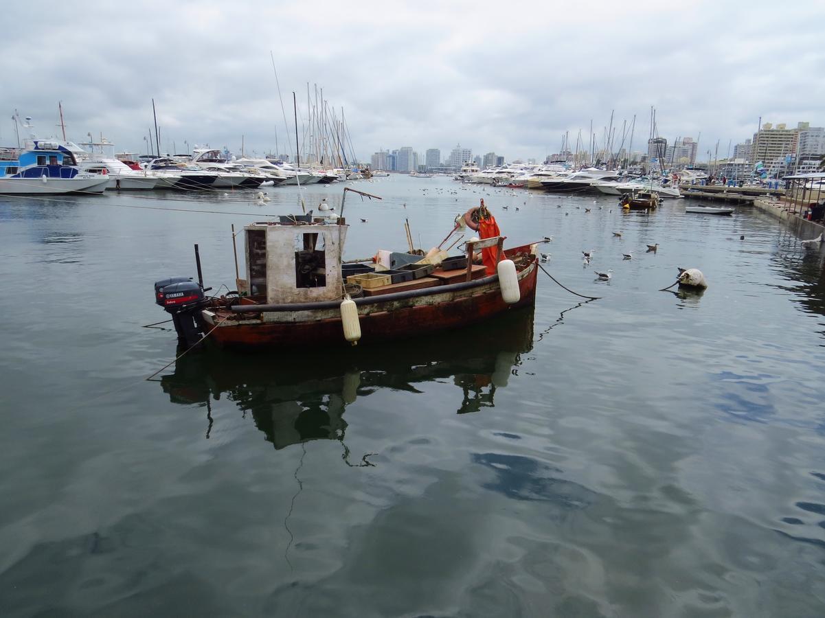 Los Sargos Punta del Este Exteriör bild