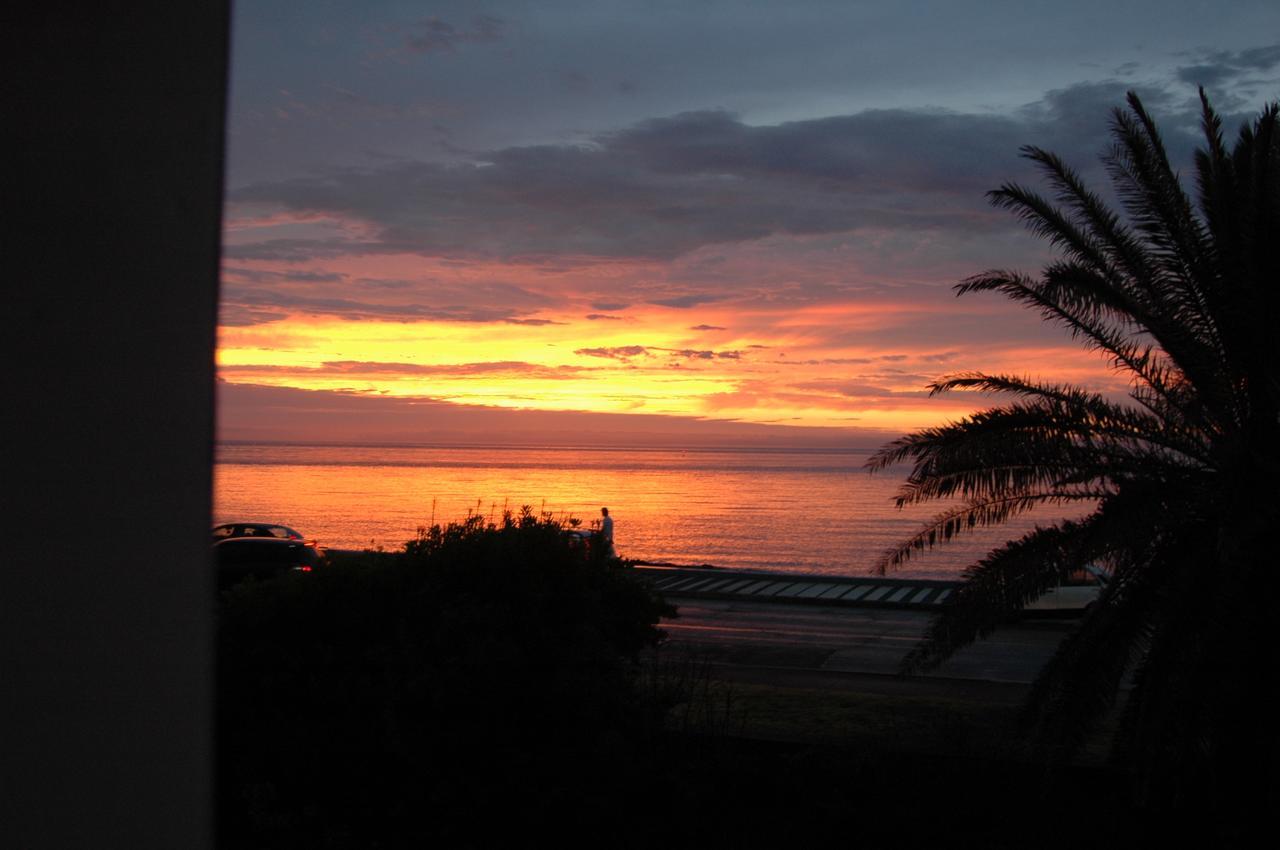 Los Sargos Punta del Este Exteriör bild