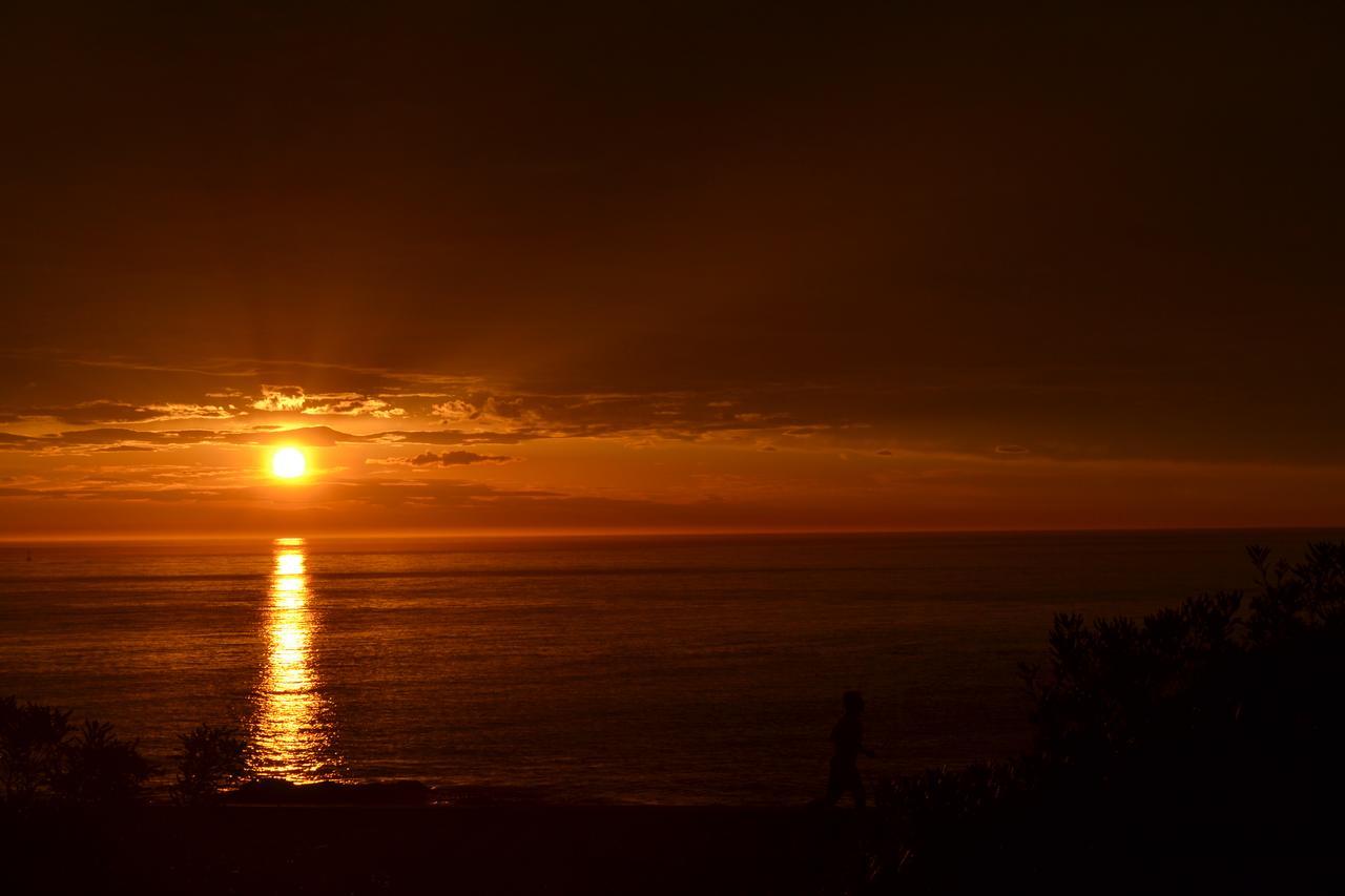 Los Sargos Punta del Este Exteriör bild